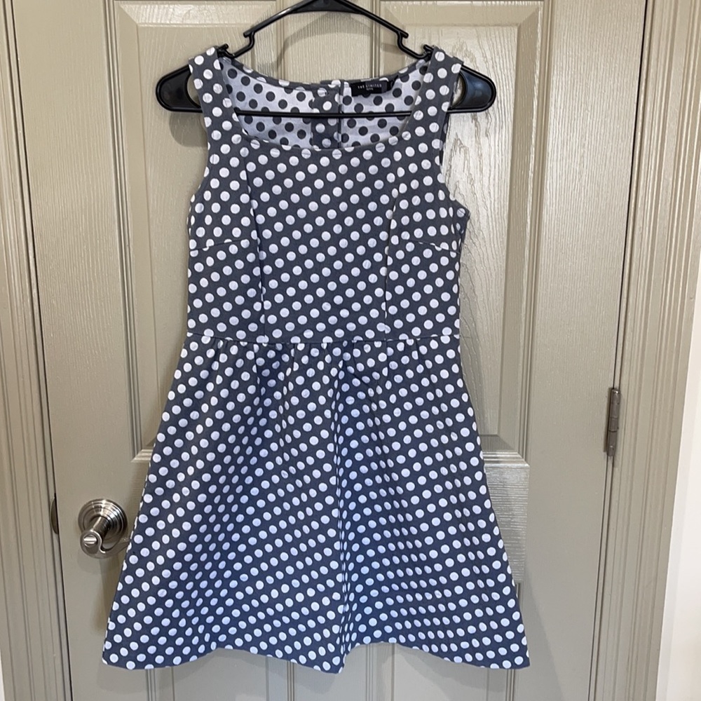The Limited Dress